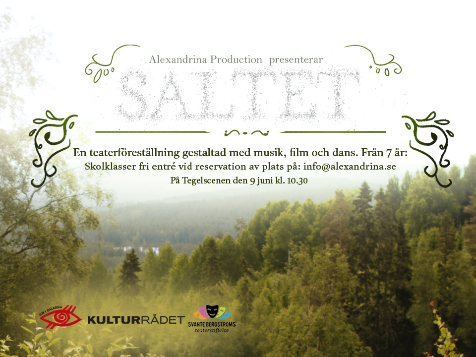 Saltetny8